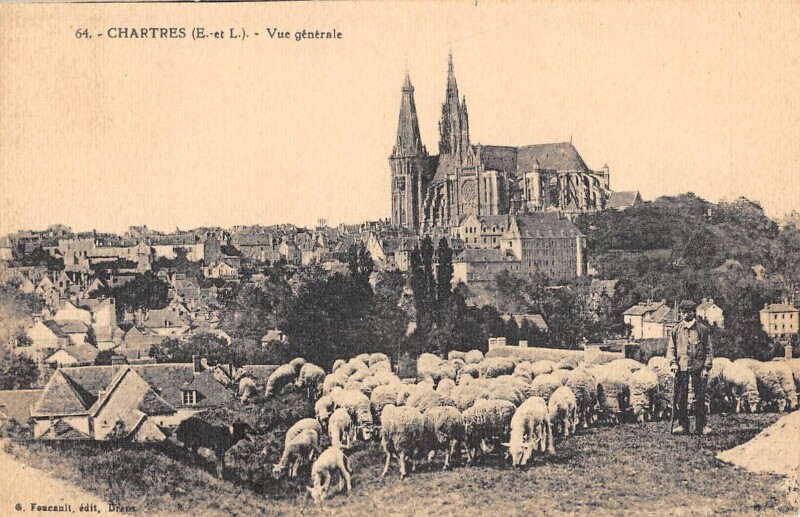 Carte postale ancienne Chartres / Vue Generale / Berger / Moutons à Chartres