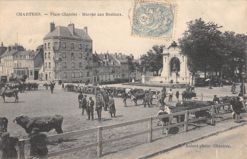 Carte postale ancienne Chartres / Place Chatelet / Marche Aux Bestiaux à Chartres