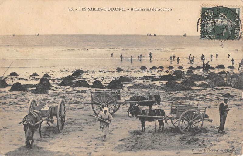 Carte postale ancienne Les Sables D'Olonne / Ramasseurs De Goemon aux Sables-d'Olonne