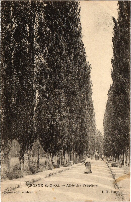 Carte postale ancienne Crosnes Allee des Peupliers France à Crosne