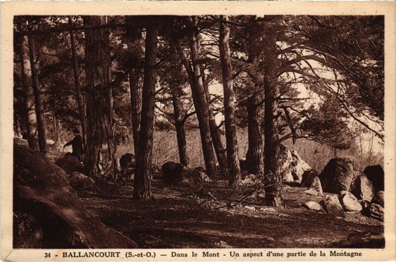 Carte postale ancienne Ballancourt Un aspect d'une partie de la Montagne France