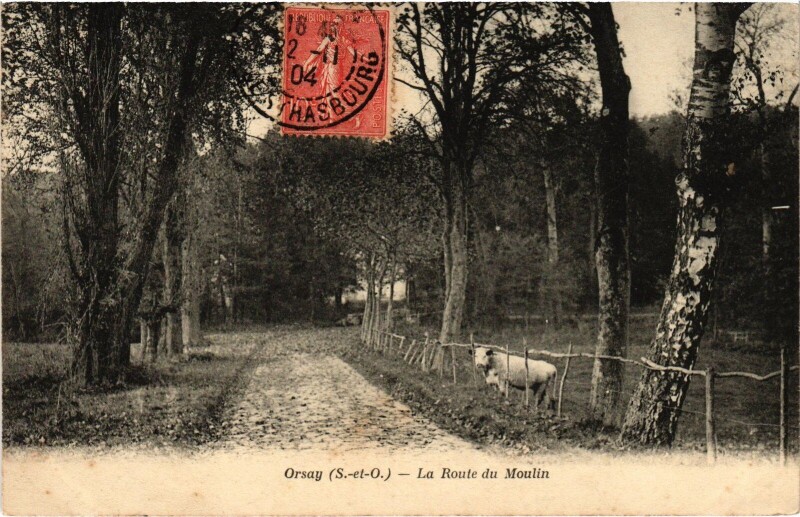 Carte postale ancienne Orsay La Route du Moulin France à Orsay