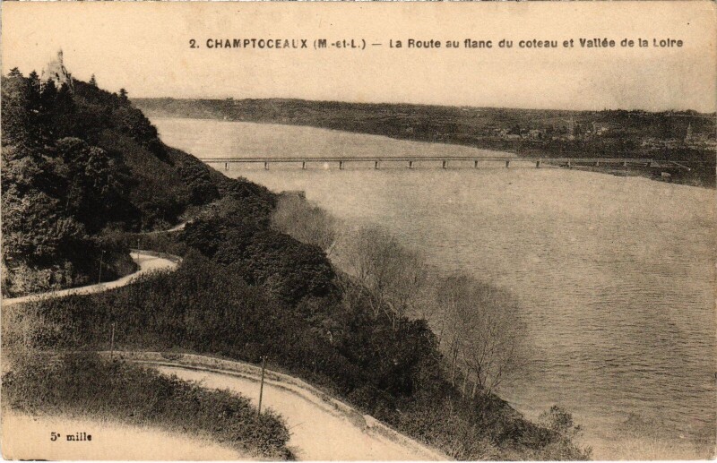 Carte postale ancienne Champtoceaux La Route