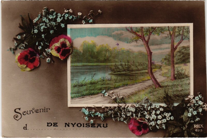 Carte postale ancienne Souvenir de Nyoiseau