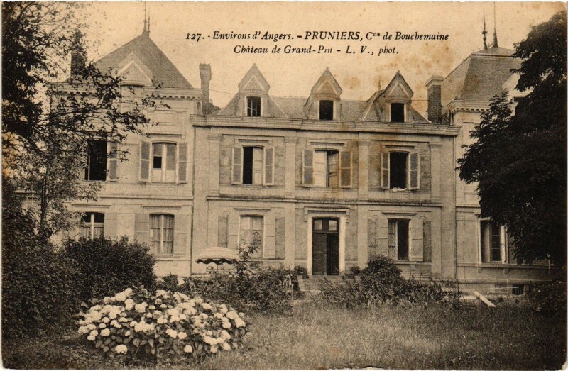 Carte postale ancienne Pruniers le Chateau de Grand-pin