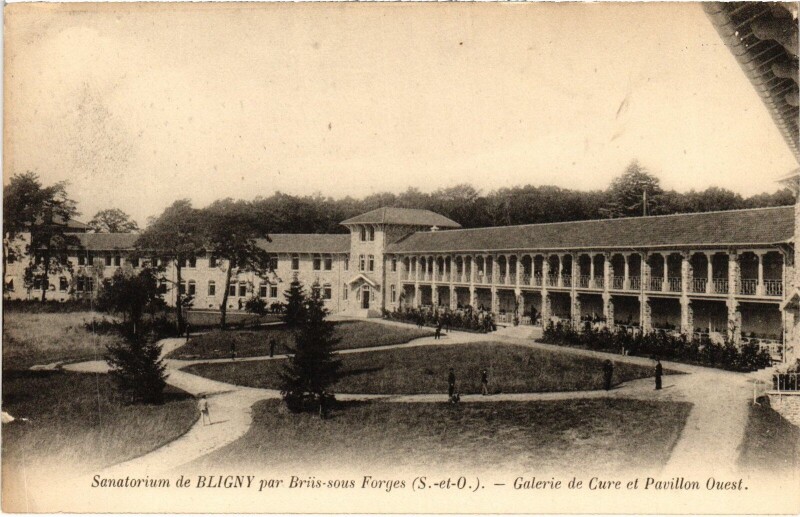 Carte postale ancienne Bligny Galerie de Cure et Pavillon Ouest France