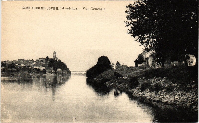 Carte postale ancienne Saint-Florent-le-Vieil Vue générale