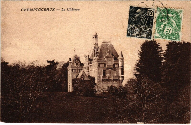 Carte postale ancienne Champtoceaux le Chateau
