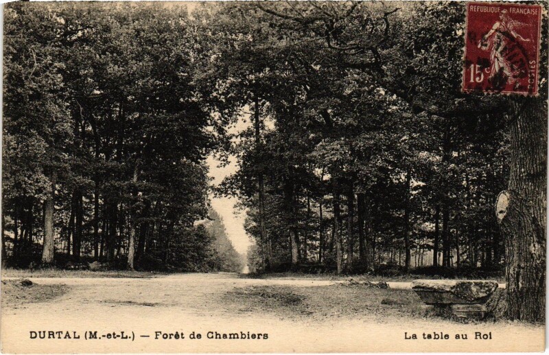 Carte postale ancienne Durtal Foret de Chambiers à Durtal