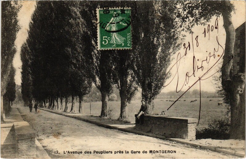 Carte postale ancienne Montgeron L'Avenue des Peupliers pres la Gare France à Montgeron