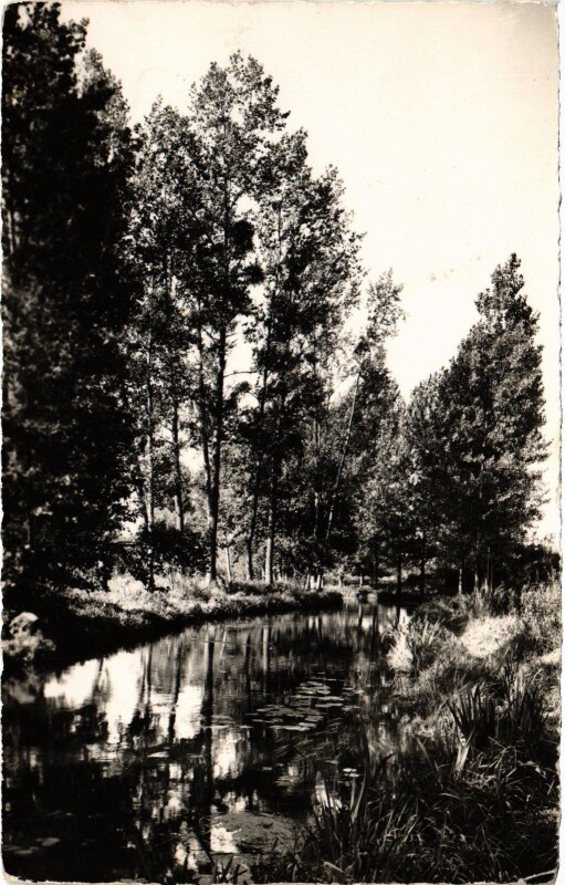 Carte postale ancienne Arpajon Les Bords de l'Orge France à Arpajon