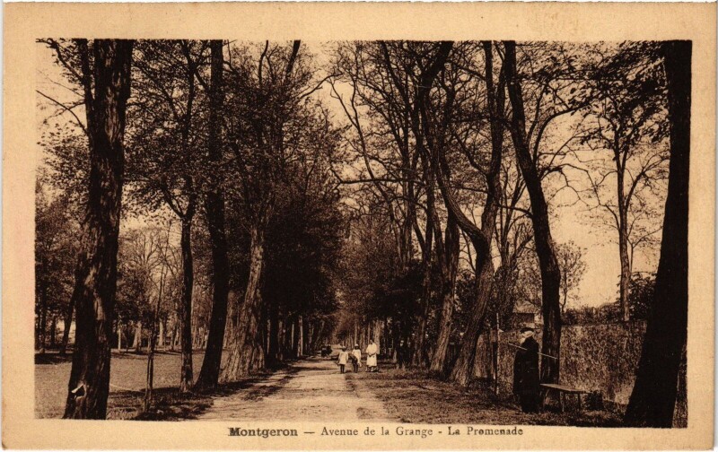 Carte postale ancienne Montgeron Avenue de la Grange La Promenade France à Montgeron
