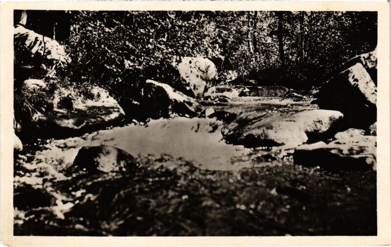 Carte postale ancienne Abbaye de La Pierre-qui-Vire vue sur le Trinqulin