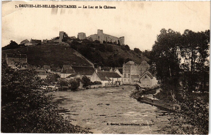 Carte postale ancienne Druyes-les-Belles-fontaines le Lac et le Chateau à Druyes-les-Belles-Fontaines