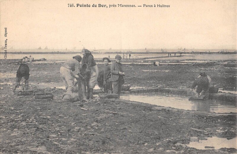Carte postale ancienne Pointe De Der - Pres Marennes - Parcs A Huitres