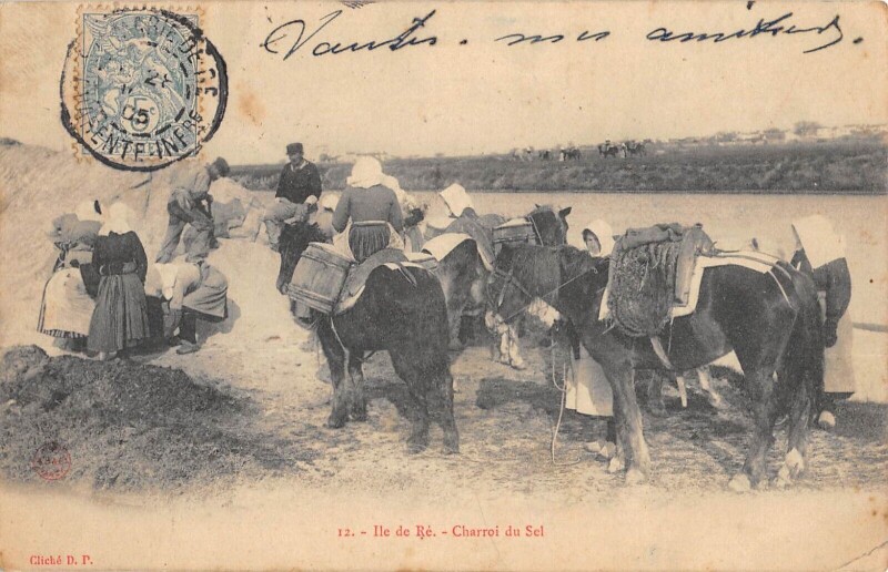 Carte postale ancienne Ile De Re - Charroi Du Sel