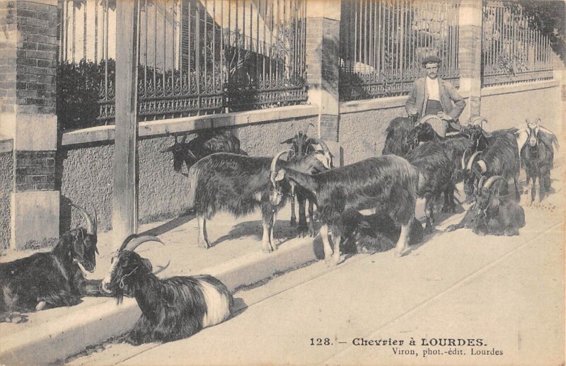Carte postale ancienne Chevrier A Lourdes à Lourdes
