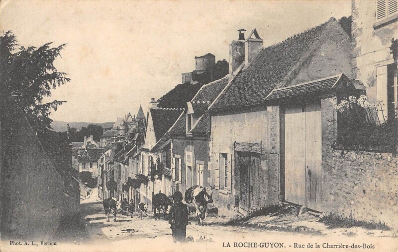 Carte postale ancienne La Roche Guyon - Rue De La Charriere Des Bois à La Roche-Guyon