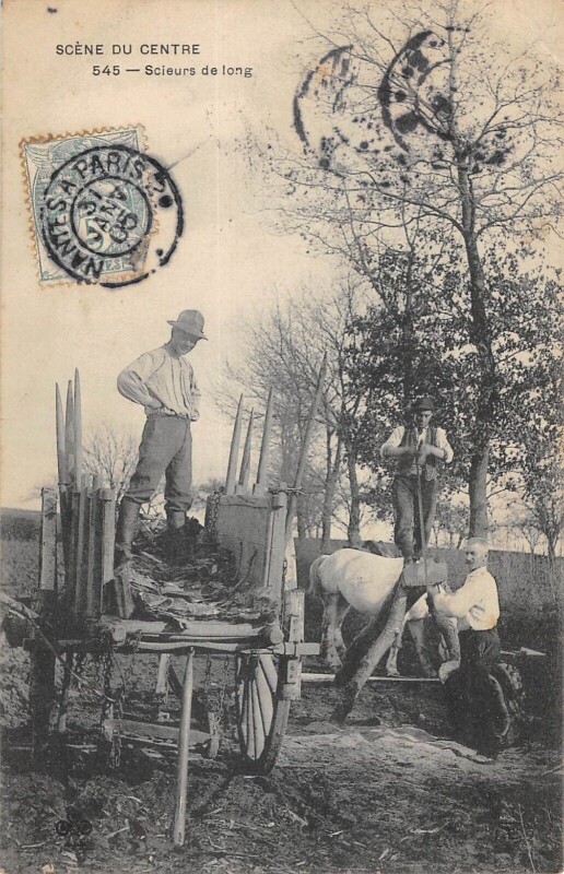 Carte postale ancienne Scene Du Centre - Scieurs De Long