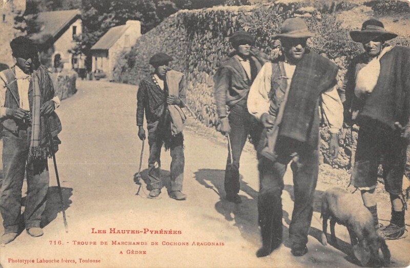 Carte postale ancienne Hautes Pyrenees / Troupe De Marchands De Cochons Aragonais A Gedre
