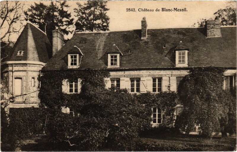 Carte postale ancienne Chateau de Blanc-Mesnil France