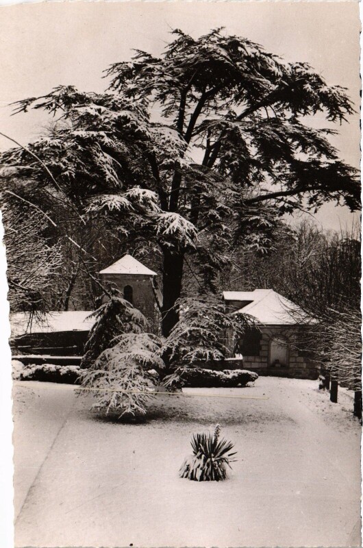 Carte postale ancienne Montfermeil Les Cedres France à Montfermeil