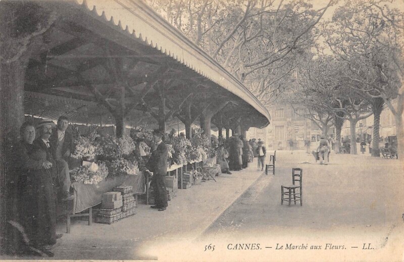 Carte postale ancienne Cannes - Le Marche Aux Fleurs à Cannes