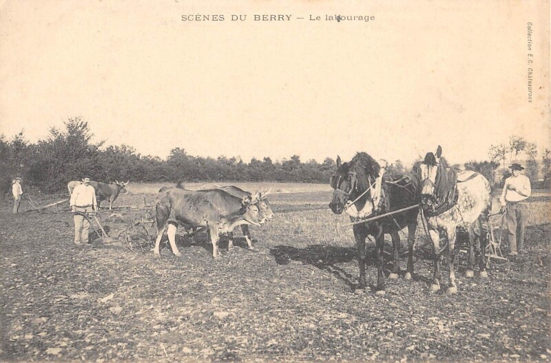 Carte postale ancienne Scenes Du Berry - Le Labourage