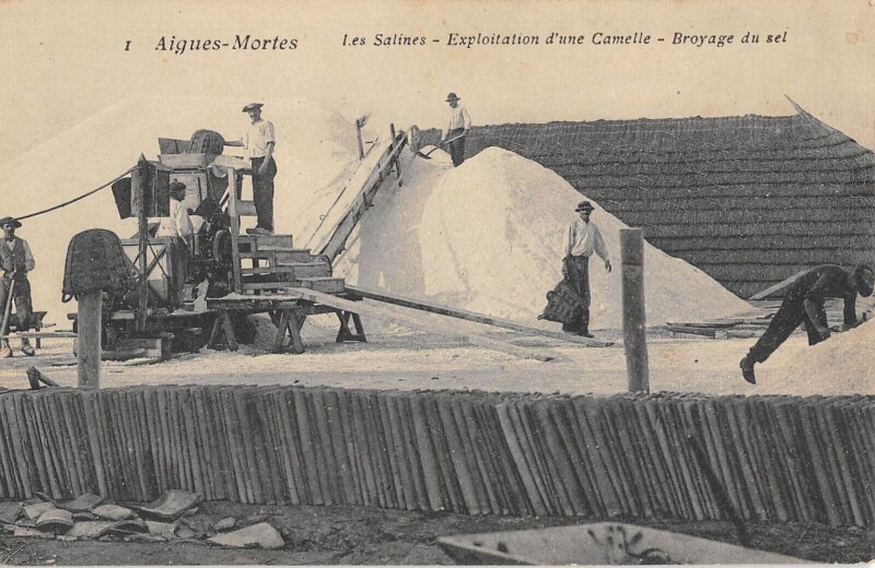 Carte postale ancienne Aigues Mortes / Les Salines / Exploitation D'Une Camelle / Broyage Du Sel à Aigues-Mortes