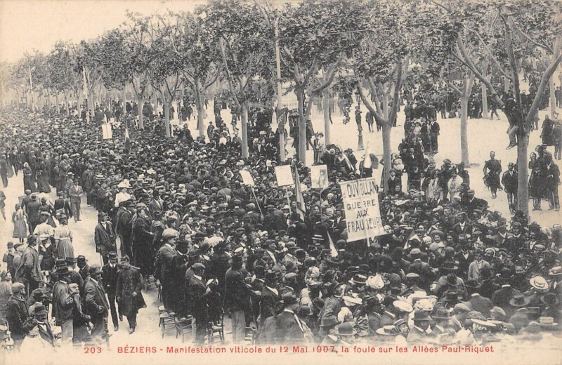 Carte postale ancienne Beziers - Meeting Viticole A Beziers Du 12 Mai 1907 - La Foule Sur Les Al