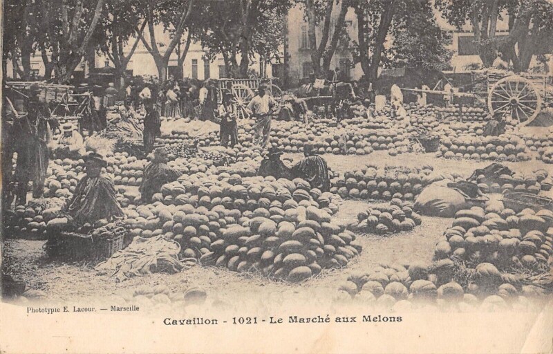 Carte postale ancienne Cavaillon - Le Marche Aux Melons à Cavaillon