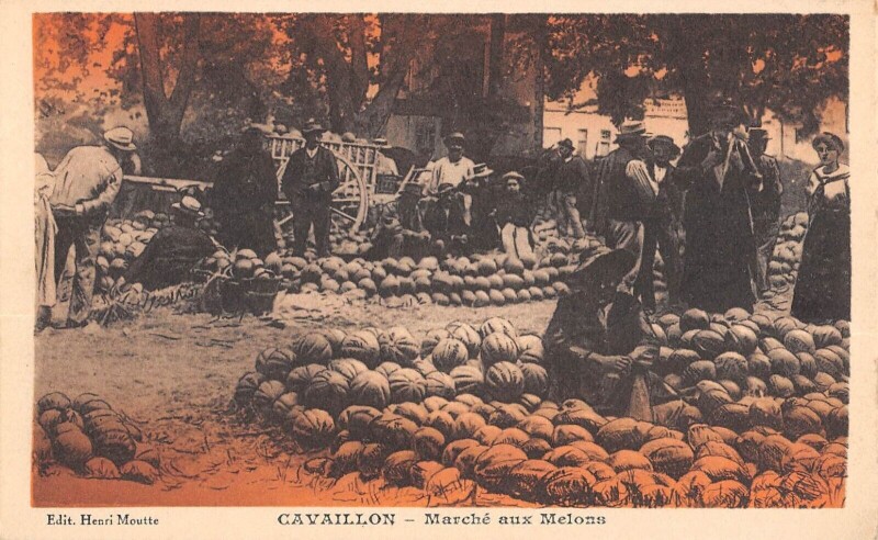 Carte postale ancienne Cavaillon Le Marche Aux Melons à Cavaillon