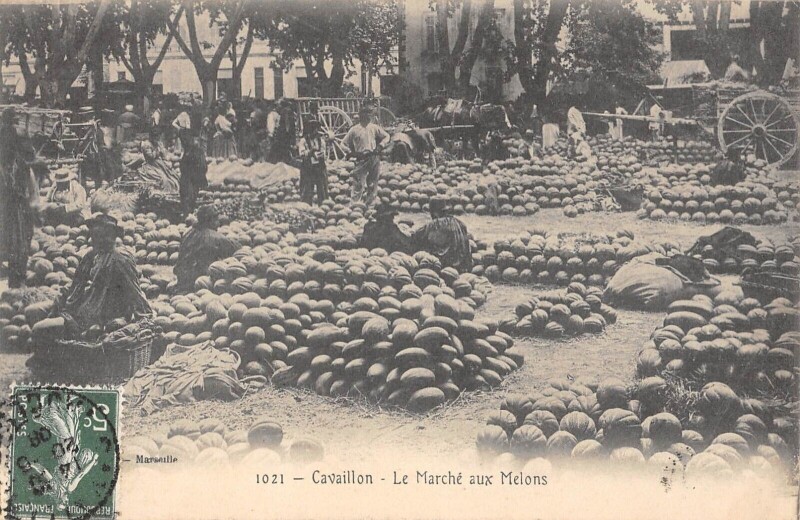 Carte postale ancienne Cavaillon - Le Marche Aux Melons à Cavaillon