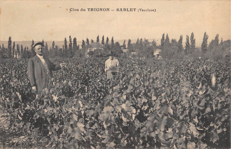 Carte postale ancienne Clos Du Trignon - Sablet à Sablet