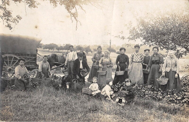 Carte postale ancienne Colombes - Carte Photo - Region Parisienne - Scene D'Agriculture à Colombes
