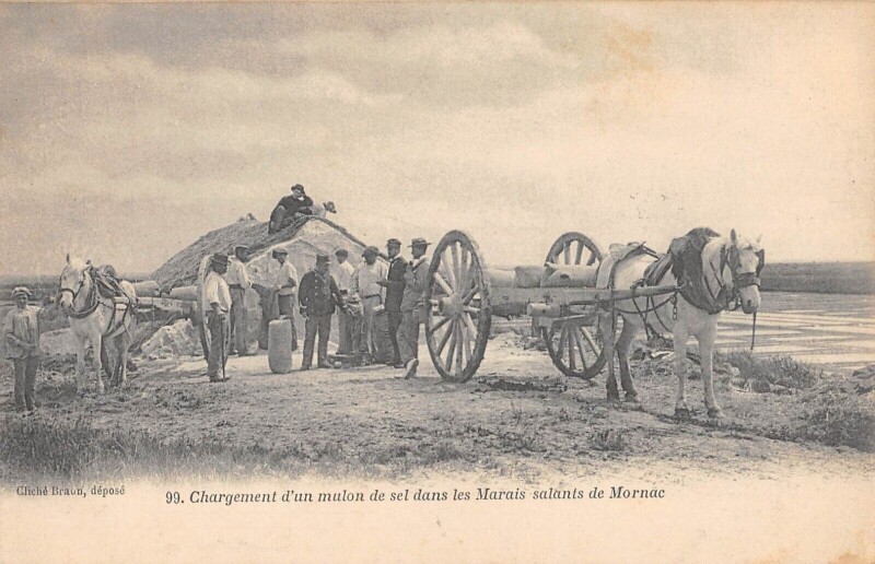 Carte postale ancienne Chargement D'Un Mulon De Sel Dans Les Marais Salants De Mornac
