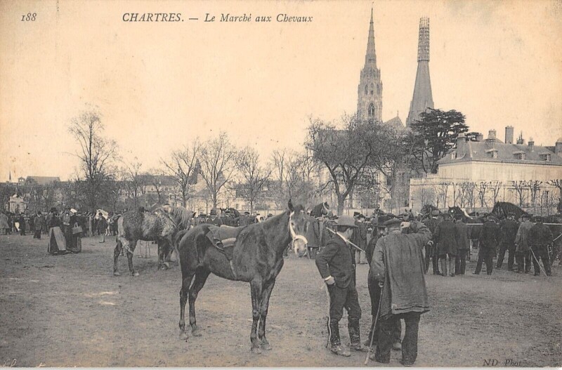 Carte postale ancienne Chartres - Le Marche Aux Chevaux à Chartres
