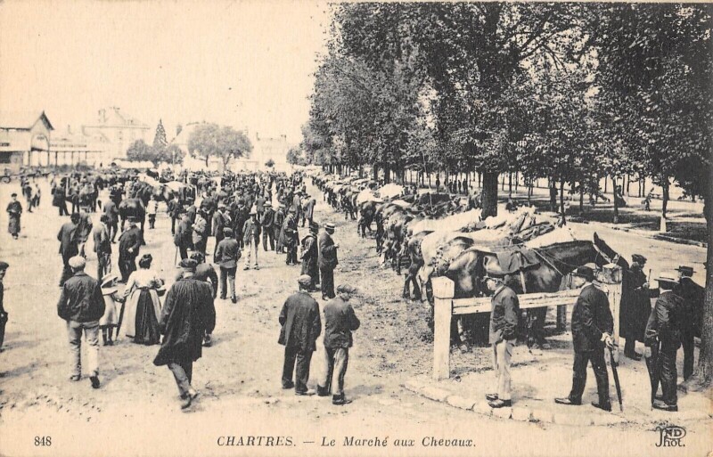Carte postale ancienne Chartres - Le Marche Aux Chevaux à Chartres