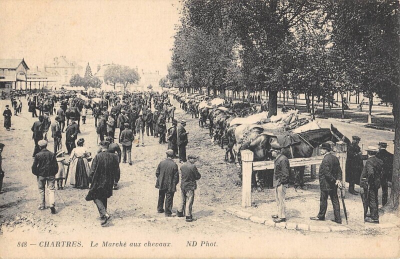 Carte postale ancienne Chartres - Le Marche Aux Chevaux à Chartres