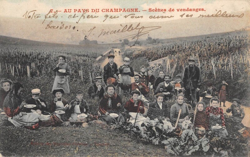 Carte postale ancienne Au Pays Du Champagne / Scenes De Vendanges