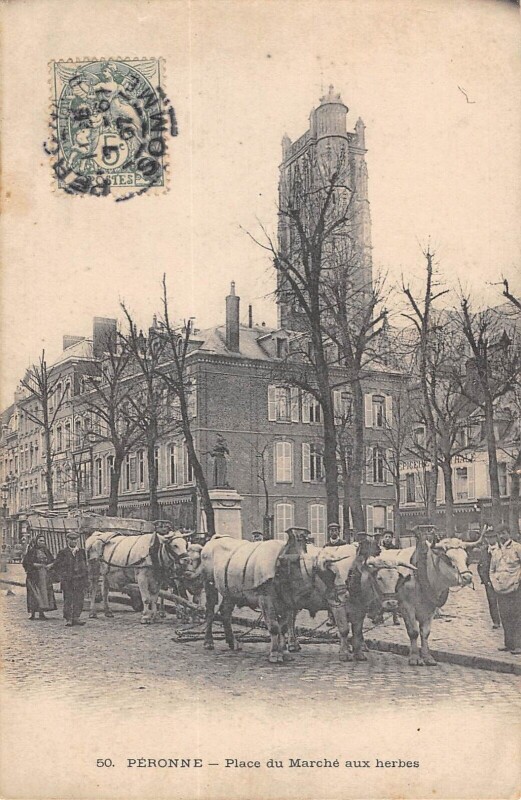 Carte postale ancienne Peronne / Place Du Marche Aux Herbes