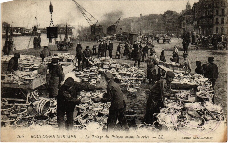 Carte postale ancienne Boulogne-sur-Mer Triage du Poisson anvant le criée à Boulogne-sur-Mer