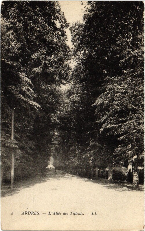 Carte postale ancienne Ardres Allée des Tilleuls à Ardres