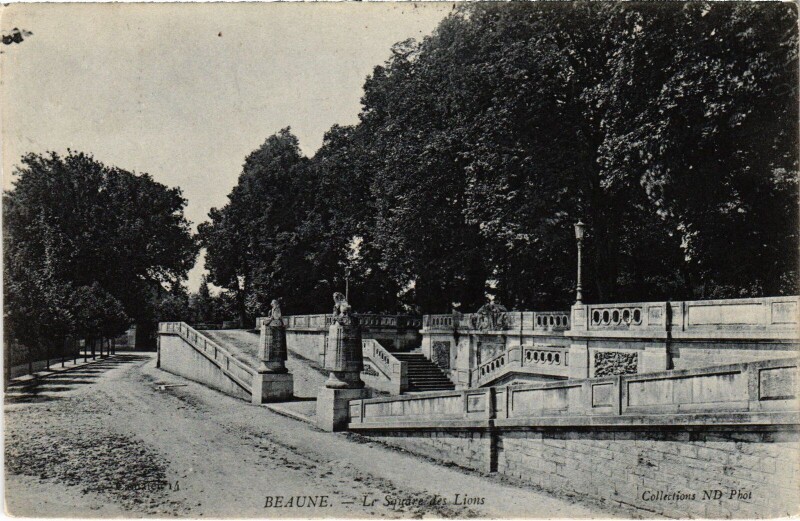Carte postale ancienne Beaune Cygnes au Parc de la Bouzaize à Beaune