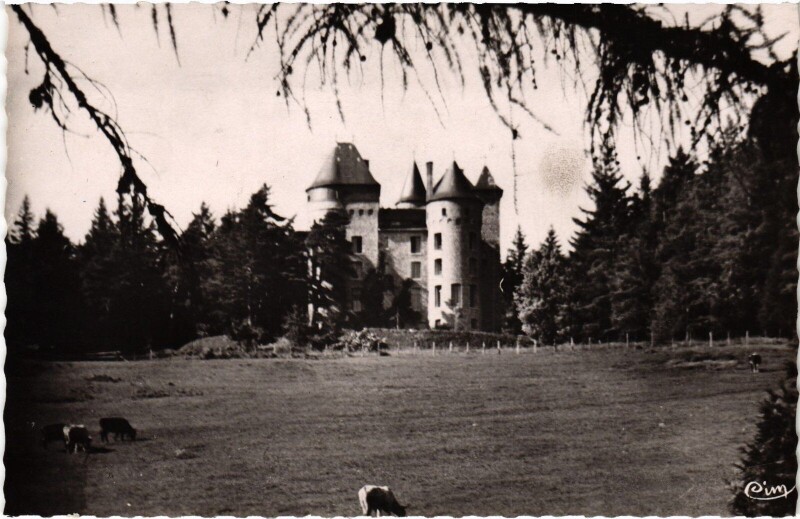 Carte postale ancienne Noirétable Le Chateau à Noirétable