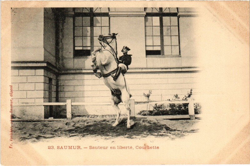 Carte postale ancienne Saumur sauteur en Liberté Courbette à Saumur