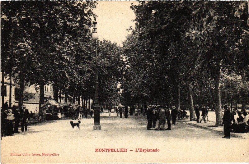 Carte postale ancienne Montpellier Esplanade à Montpellier