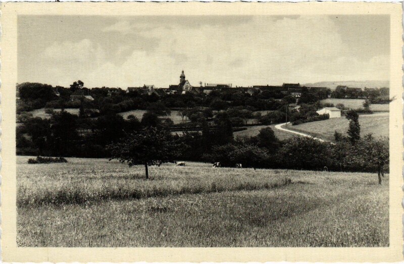 Carte postale ancienne Lainsecq vue générale à Lainsecq