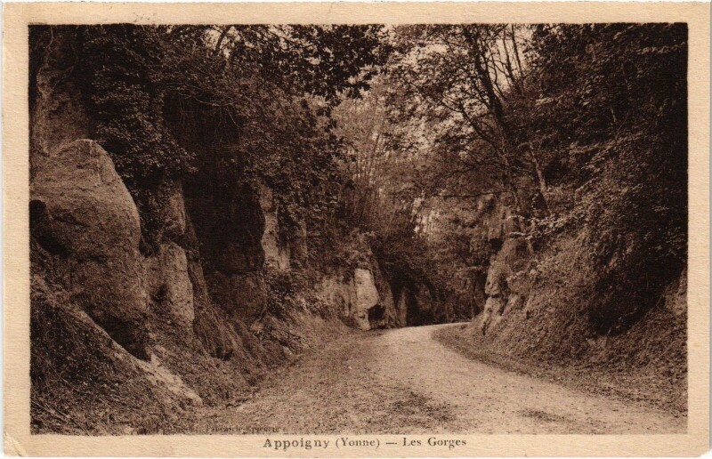 Carte postale ancienne Appoigny Les Gorges à Appoigny