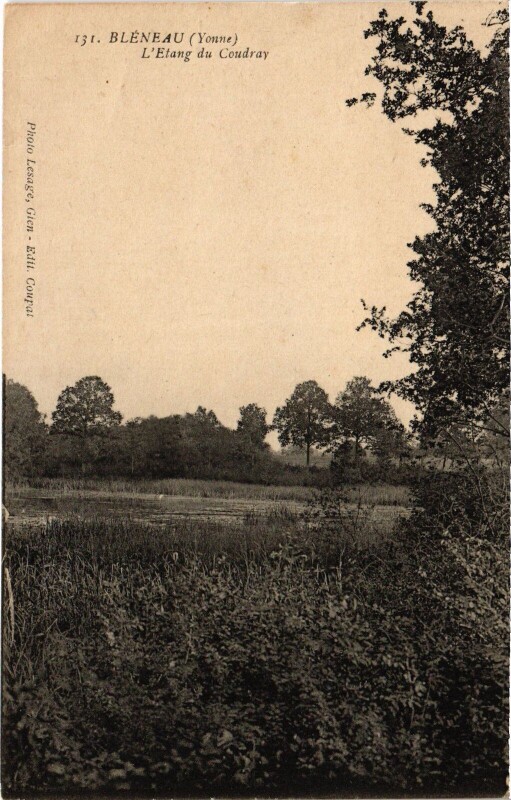 Carte postale ancienne Bléneau Etang du Coudray à Bléneau